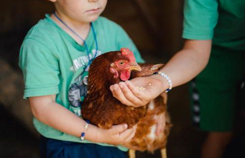 Stadl Chalet oberhalb Brixen - Photo 6