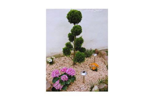 Appartement cosy proche centre - Foto 21