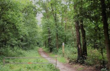 Studio Apartment Elten - Foto 18