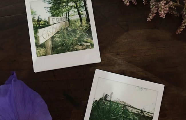 Agriturismo La Casina della Burraia - Photo 44