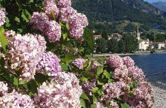 Residence Laguna Beach - Foto 13