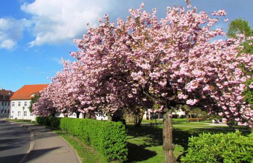 Kastanienhof Lübben - Foto 14