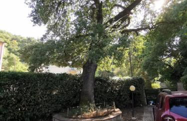 Vacanza nel boschetto - Foto 7