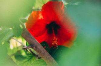 Hotel Rural La Casa Amarilla - Foto 43