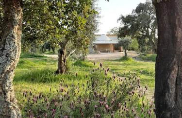 Quinta Terramadome: Dome incomum & responsável - Foto 7