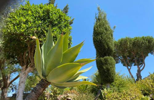 Detached holiday house, 2 bedrooms, private garden, pool - Photo 22