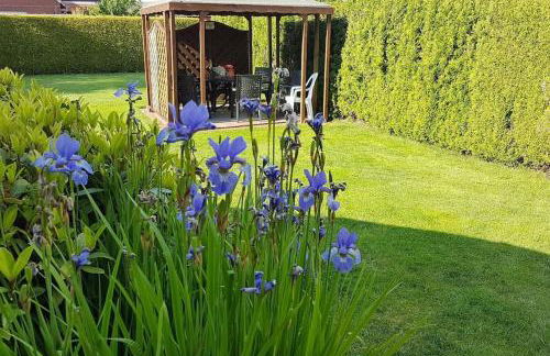 Ferienhaus Thekla - Photo 20