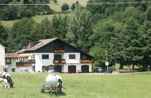 Quaint Apartment in Hüttenthal with Garden - Foto 56