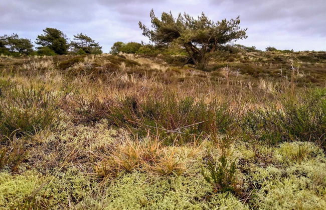 Child Friendly Holiday Home in Fanø near Sea - Foto 3