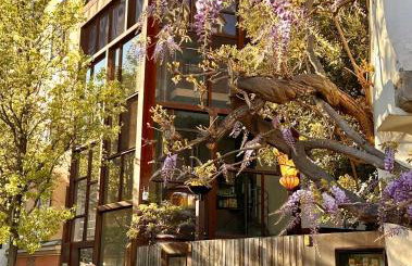 VILLAREJA - Private City Suite im Herzen der Bozner Altstadt - Foto 2