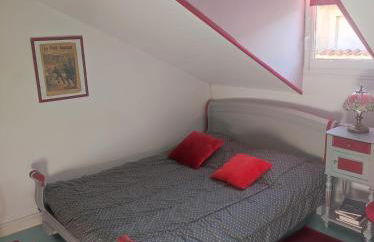 hô choucas - Foto 26