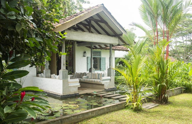 08 Acre Private Tea Estate Close To Galle - Photo 30