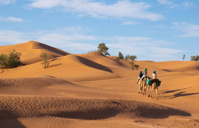 paseo en dromedario (Medio día - sin guía) - Foto 3