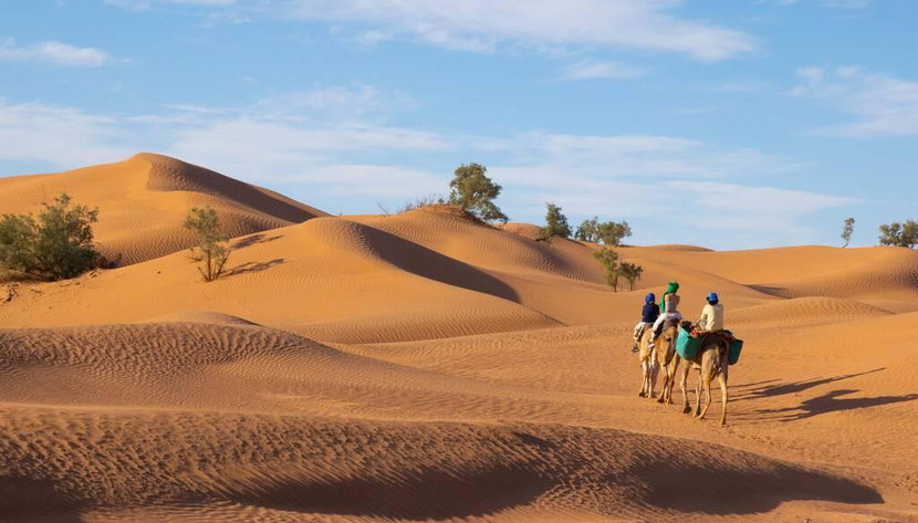 Paseo en dromedario (Medio día - sin guía) - Foto 3