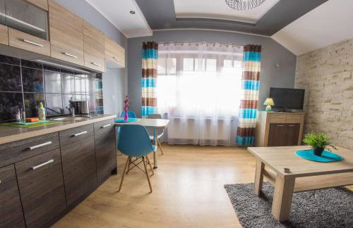 Apartamenty pod Zamkiem - Foto 48