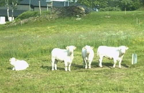 Apartment Wohnung Fübüüni by Interhome - Foto 30