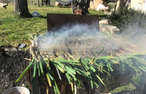 Mas Gelabertó - Foto 30