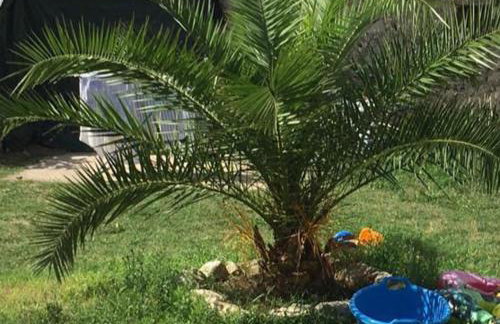 Rose house - Foto 29