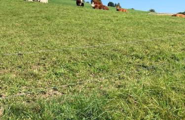 Büschem Wohlfühlparadies - Foto 21