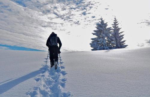 Appartement chaleureux familial - Foto 9