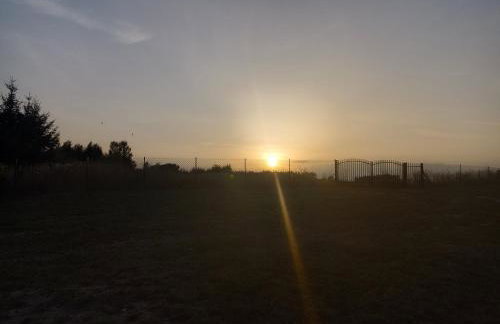 DOM w JESIONACH Brajniki - działka 1 HEKTAR - Photo 22