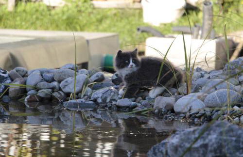 Ferienhof Stärk - Foto 56