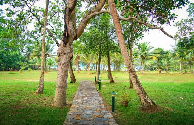 Dansala Cottage - Foto 14