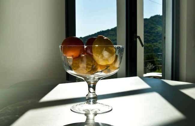 Il Giardino di Fe - Foto 49