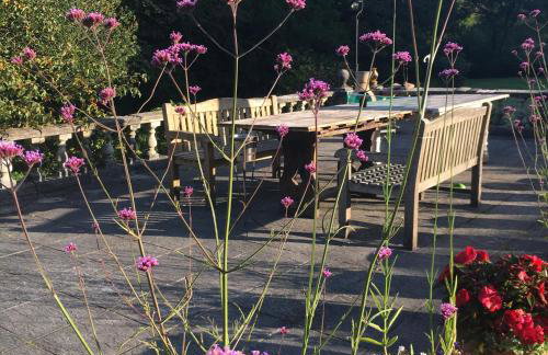 Romantic, secluded cottage in Cardinham Woods, Cornwall - Foto 5