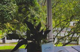 Apt Flat 210 Condomínio Pedra do Rodeadouro - Foto 24