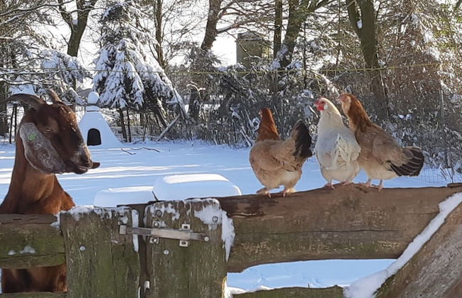 Ottenskamp4 en Het Achterhuis - Photo 55