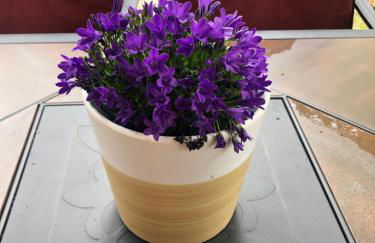 Peaceful Talkeetna Getaway #3 - Foto 6