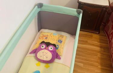 Anjú-Pardal - Foto 22