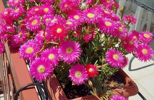 VALERIA'S HOUSE - Foto 11