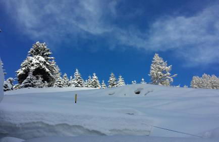 Family Apartments Le Chalet - Foto 39