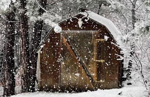 Snowbasin + Powder Mountain + Spa + Eden - Foto 43