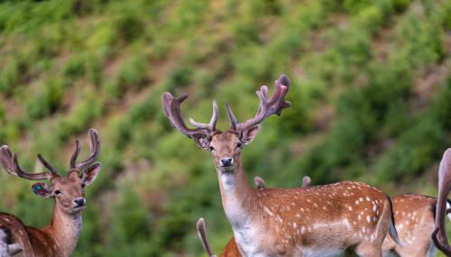 ZuHause im Freien - Photo 4