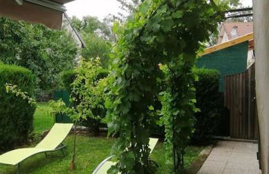 Sports et détente - Foto 11