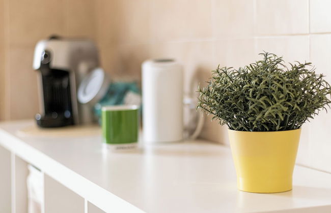 Ohana Villas - Foto 24