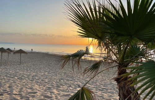 Apartmento Hana con terraza - después de la renovación general - Foto 29