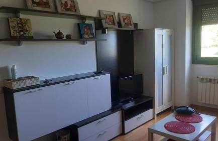 TORRE de la FUENTE AprtoVistas Piscina Parking - Foto 2