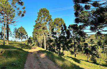 CHALES CAMBARA DA SERRA - Foto 44