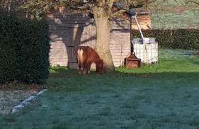 Gîte LES CHANTS DU CREPUSCULE - Foto 29