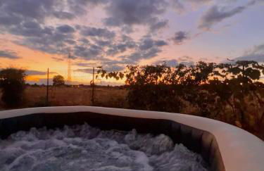 Villa Safari, Golf & Spa - Toulouse - Photo 14