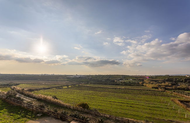 MASSERIA DELPRETE - Foto 30