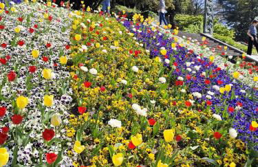 Sweet Dream - Foto 45