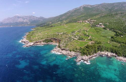 Apartments with WiFi Postup, Peljesac - 23780 - Photo 13