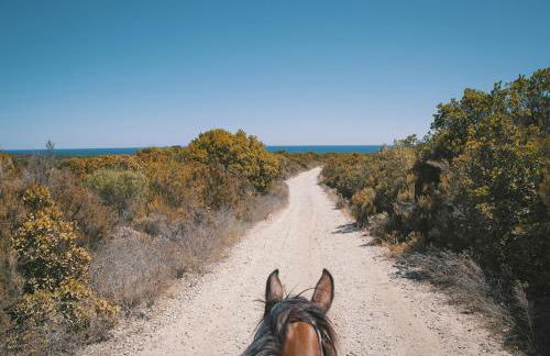 Casamea - T3 U Benestà - Foto 35