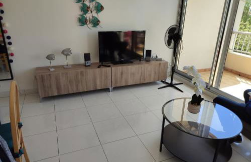 Cap d'Agde duplex l'Olivier vue mer 5 à 6 pers - Foto 11