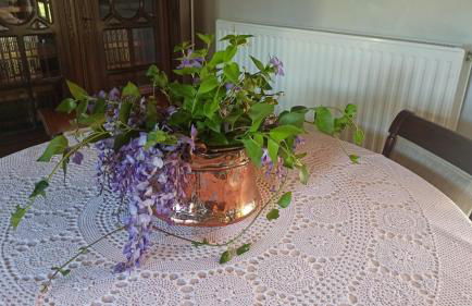 Nafpaktos cottage by the sea for travelers and dreamers! - Foto 9